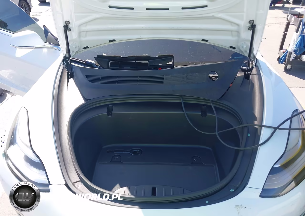 2020 Tesla Model 3 Standard Range Plus Rear-Wheel Drive-Standard Range Rear-Wheel Drive VIN:5YJ3E1EA0LF613800 - 10