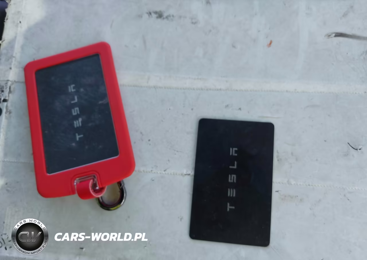 2020 Tesla Model 3 Standard Range Plus Rear-Wheel Drive-Standard Range Rear-Wheel Drive VIN:5YJ3E1EA0LF613800 - 11