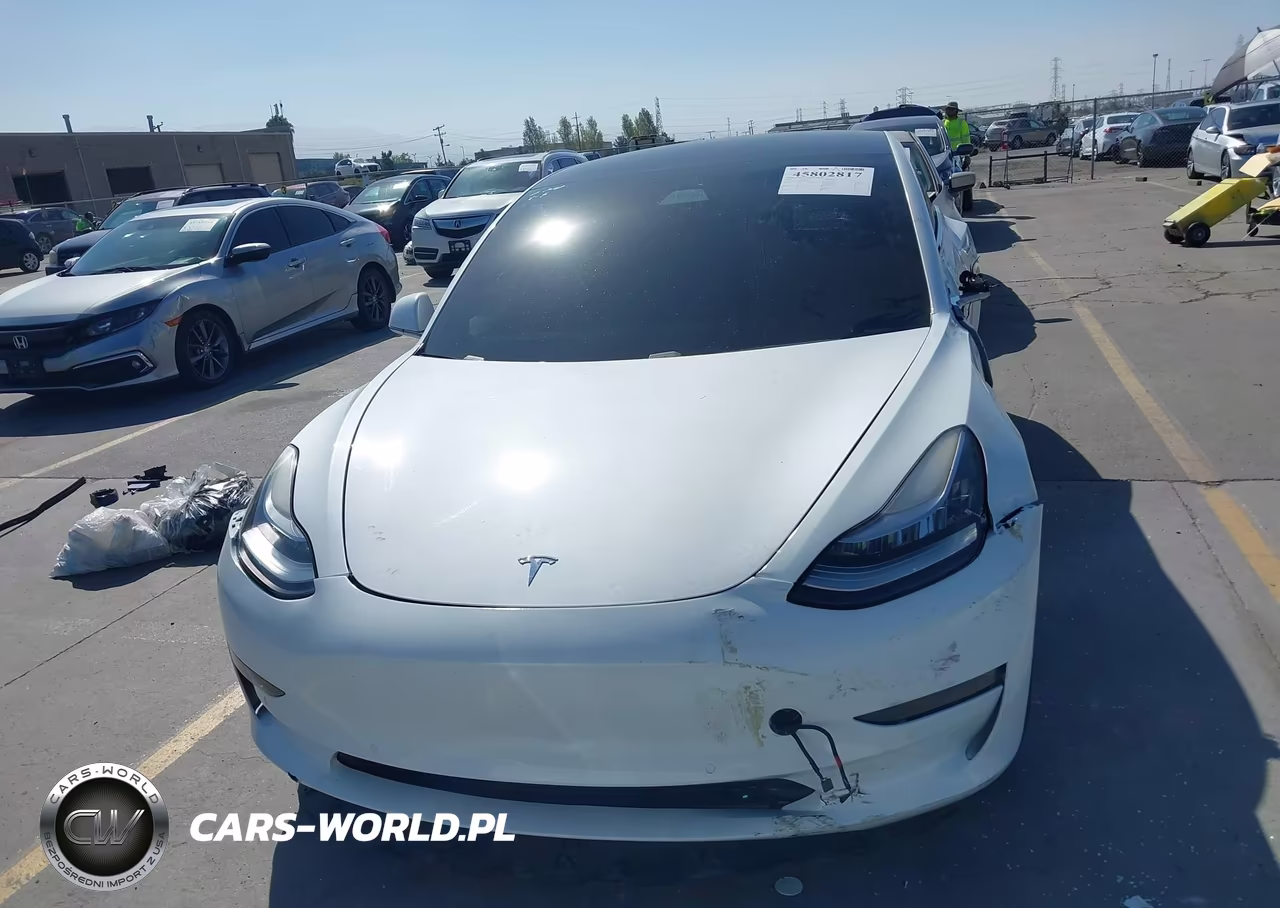 2020 Tesla Model 3 Standard Range Plus Rear-Wheel Drive-Standard Range Rear-Wheel Drive VIN:5YJ3E1EA0LF613800 - 13