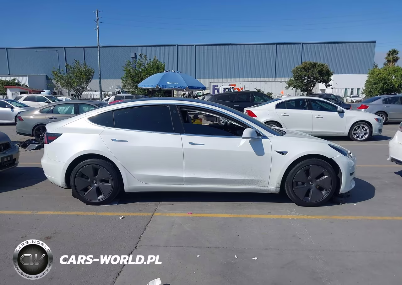 2020 Tesla Model 3 Standard Range Plus Rear-Wheel Drive-Standard Range Rear-Wheel Drive VIN:5YJ3E1EA0LF613800 - 14