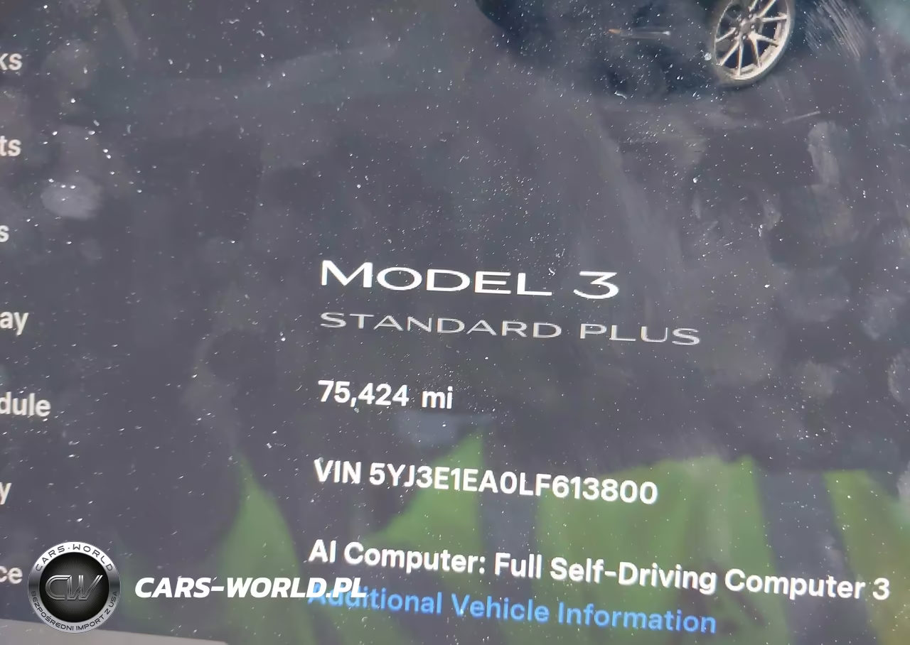 2020 Tesla Model 3 Standard Range Plus Rear-Wheel Drive-Standard Range Rear-Wheel Drive VIN:5YJ3E1EA0LF613800 - 16