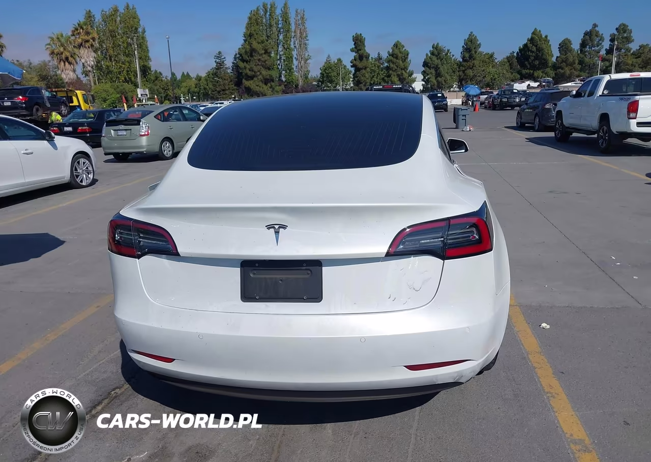 2020 Tesla Model 3 Standard Range Plus Rear-Wheel Drive-Standard Range Rear-Wheel Drive VIN:5YJ3E1EA0LF613800 - 17