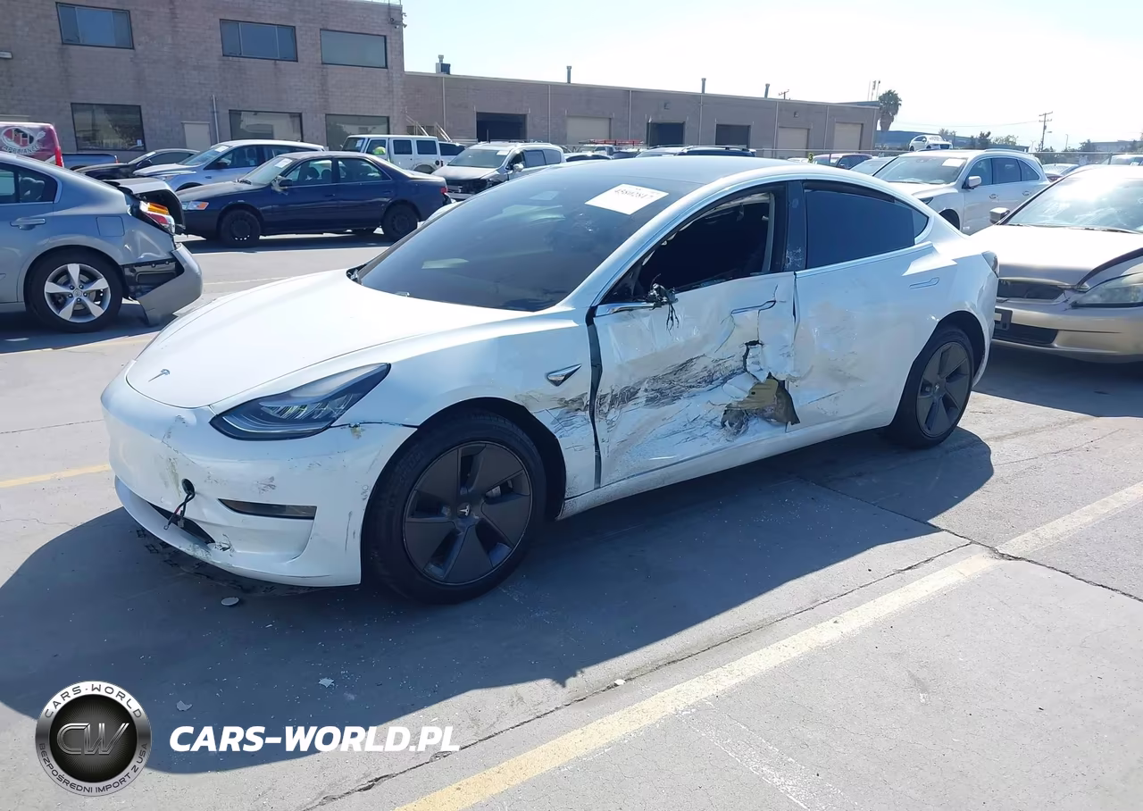 2020 Tesla Model 3 Standard Range Plus Rear-Wheel Drive-Standard Range Rear-Wheel Drive VIN:5YJ3E1EA0LF613800 - 2