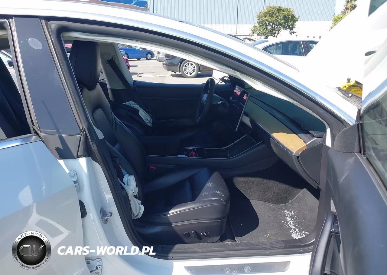 2020 Tesla Model 3 Standard Range Plus Rear-Wheel Drive-Standard Range Rear-Wheel Drive VIN:5YJ3E1EA0LF613800 - 5