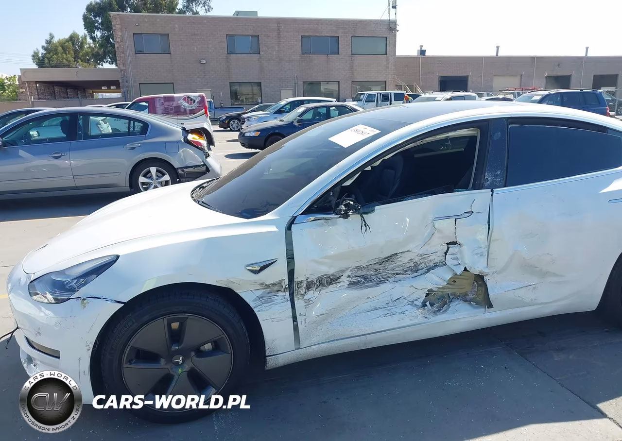 2020 Tesla Model 3 Standard Range Plus Rear-Wheel Drive-Standard Range Rear-Wheel Drive VIN:5YJ3E1EA0LF613800 - 6