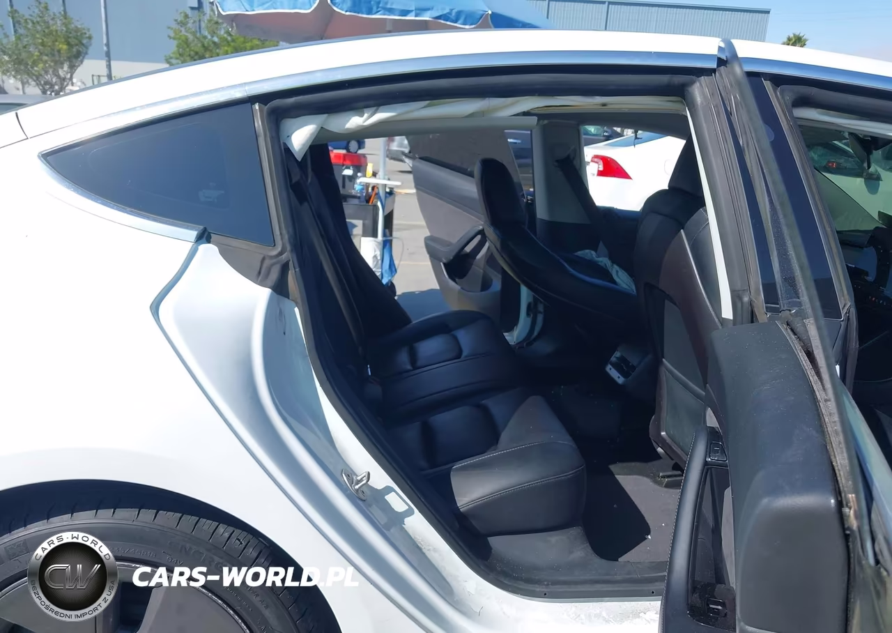 2020 Tesla Model 3 Standard Range Plus Rear-Wheel Drive-Standard Range Rear-Wheel Drive VIN:5YJ3E1EA0LF613800 - 8