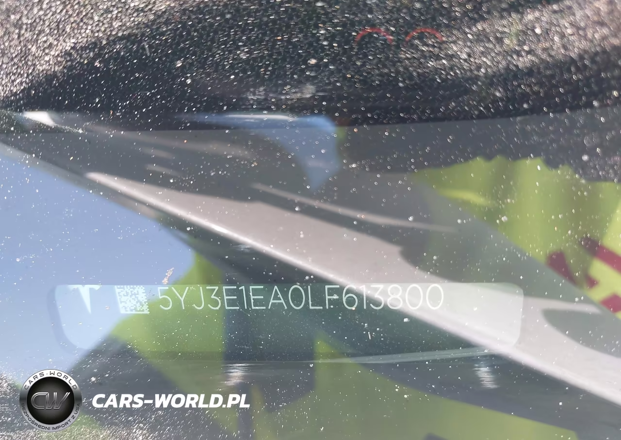 2020 Tesla Model 3 Standard Range Plus Rear-Wheel Drive-Standard Range Rear-Wheel Drive VIN:5YJ3E1EA0LF613800 - 9