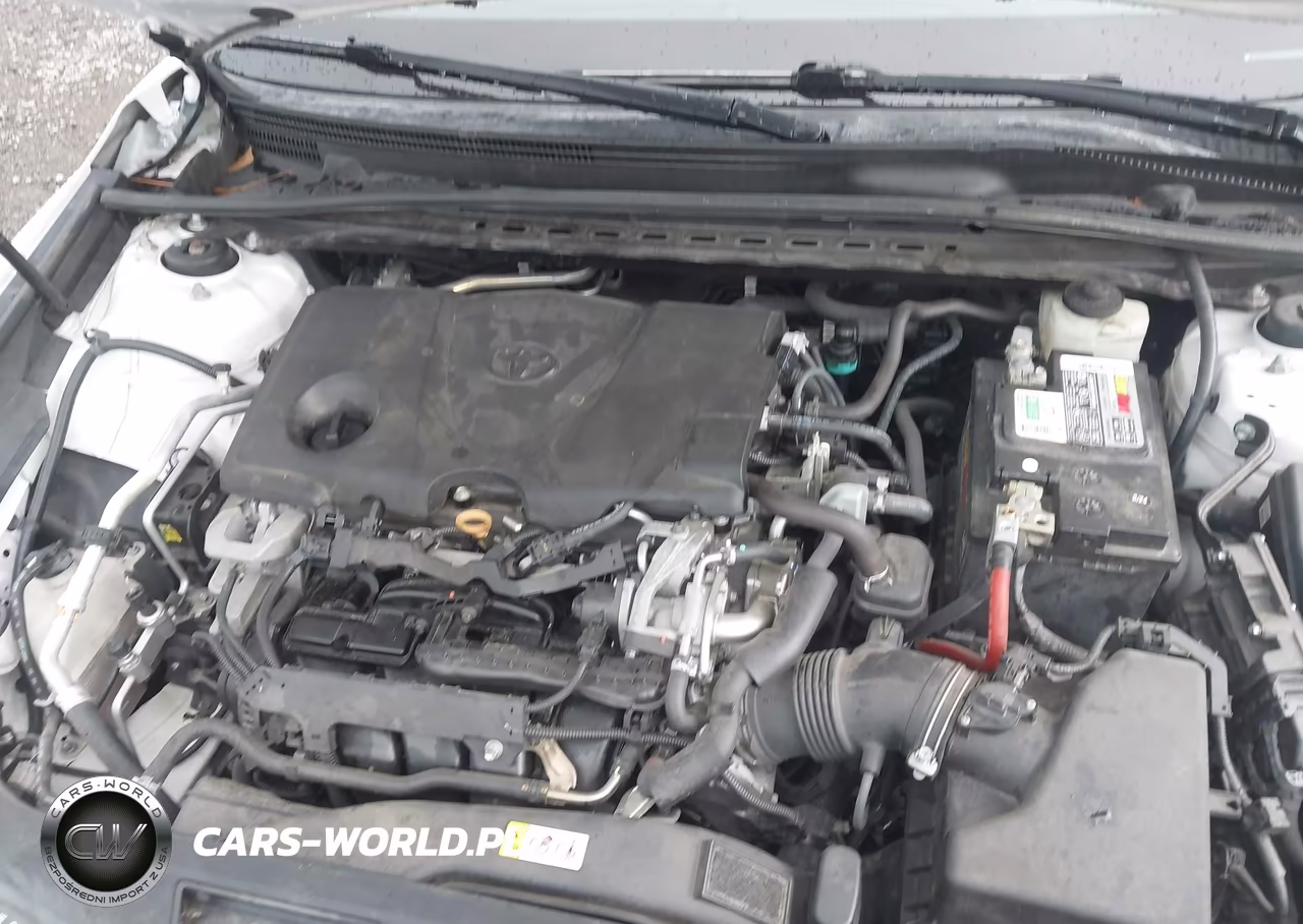 2019 Toyota Camry Se VIN:4T1B11HK0KU691281 - 10