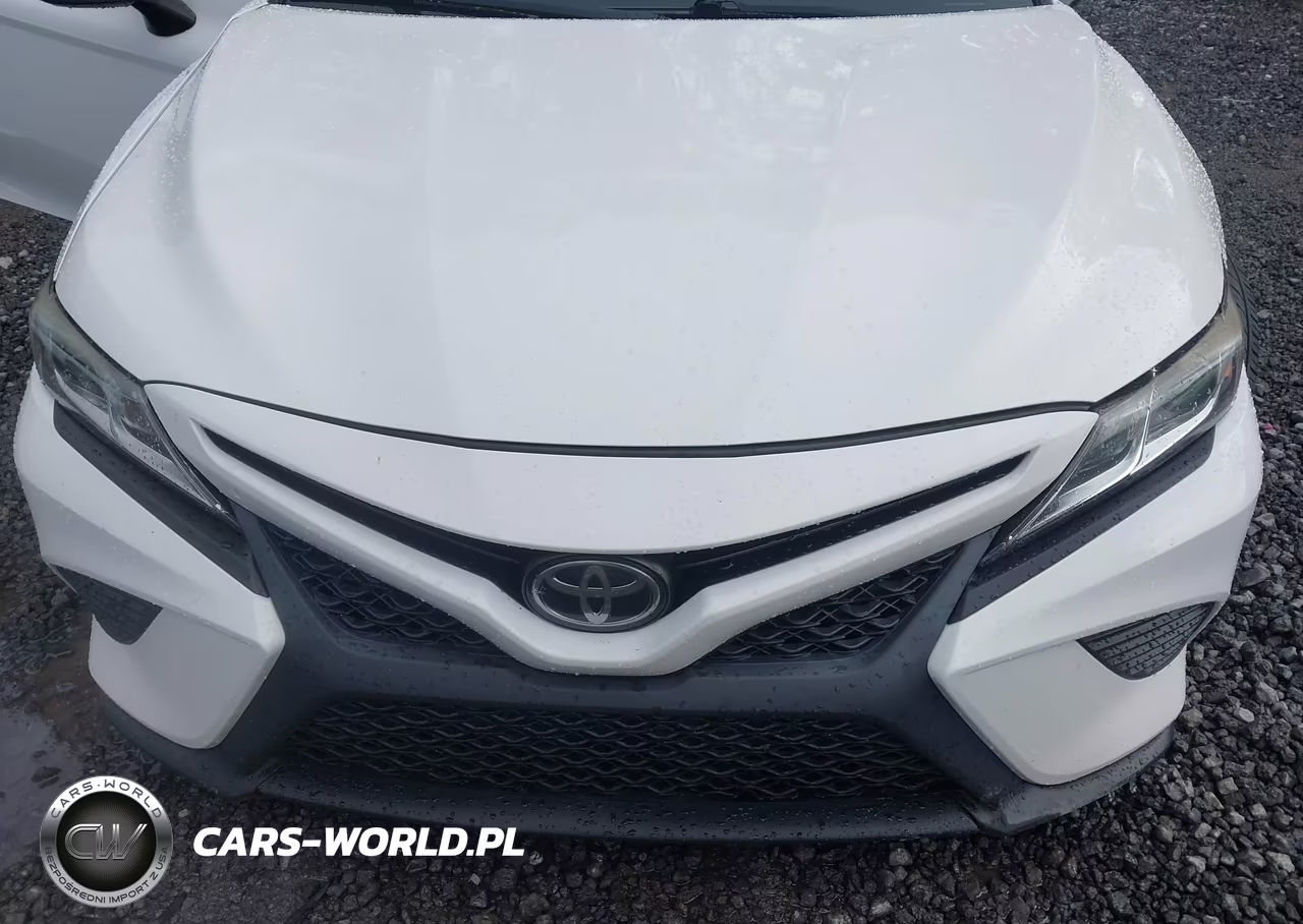 2019 Toyota Camry Se VIN:4T1B11HK0KU691281 - 11