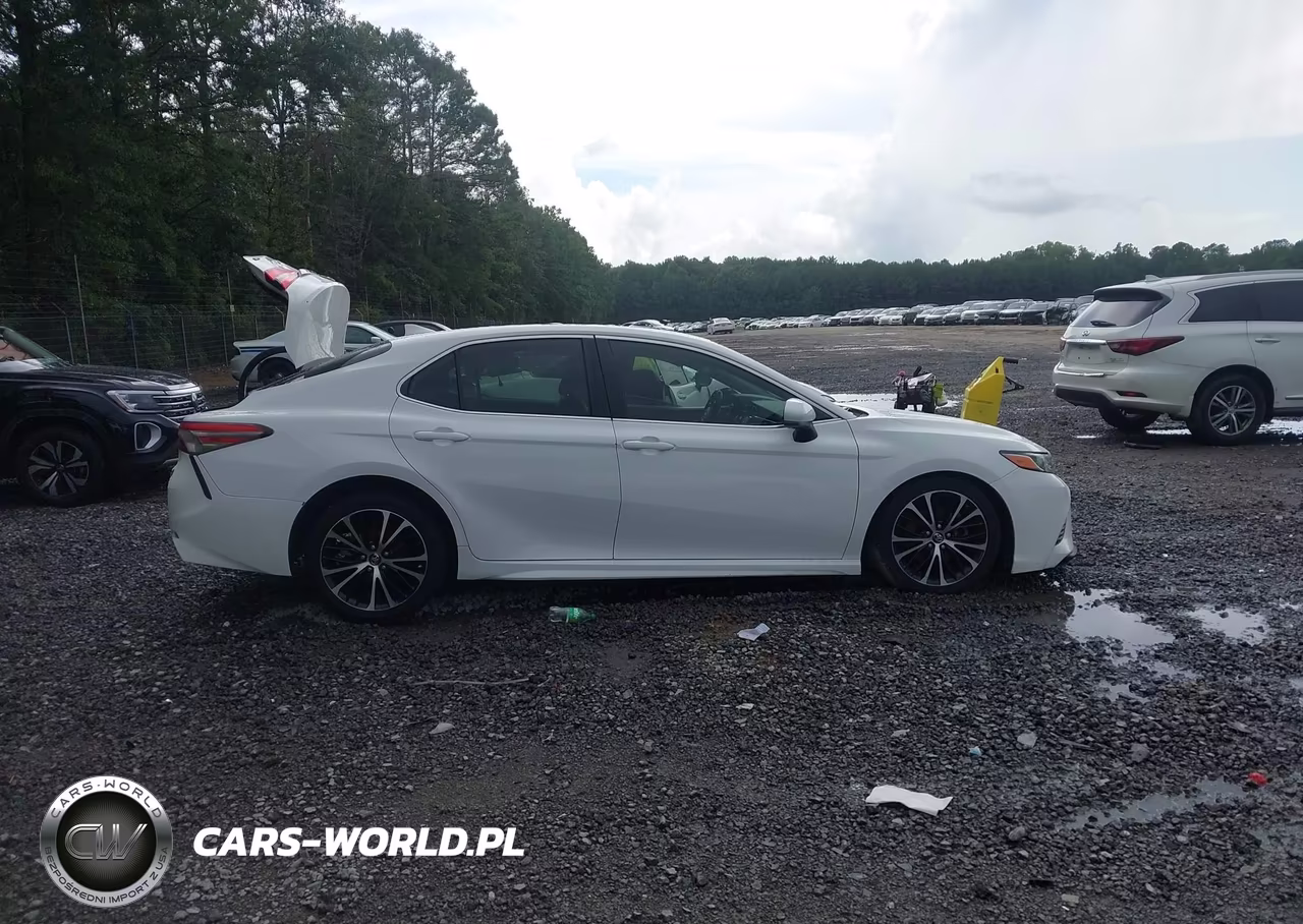 2019 Toyota Camry Se VIN:4T1B11HK0KU691281 - 12