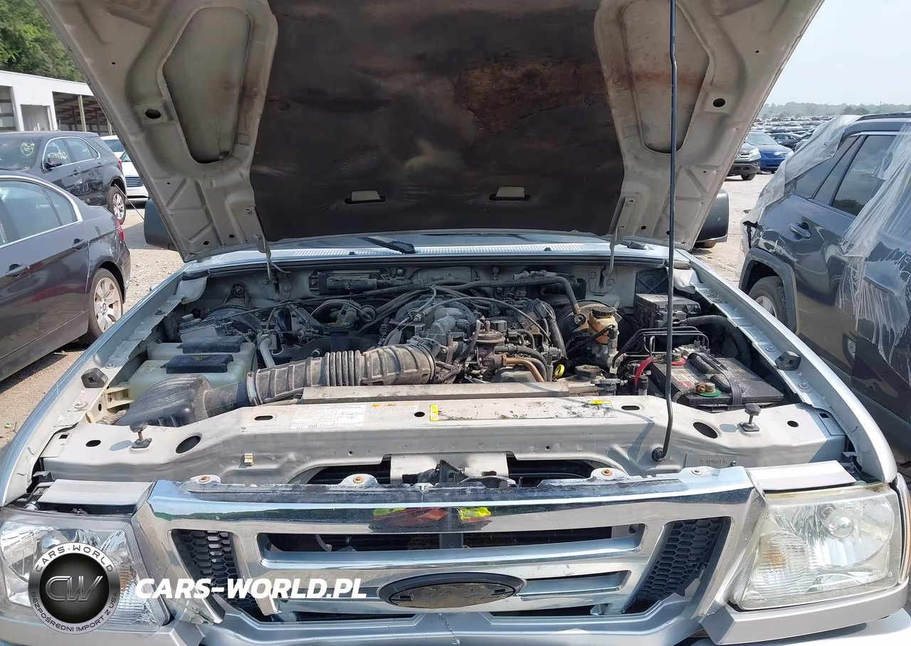 2006 Ford Ranger Fx4 Level Ii-Fx4 Off-Road-Sport-Xlt VIN:1FTZR45E46PA81223 - 10