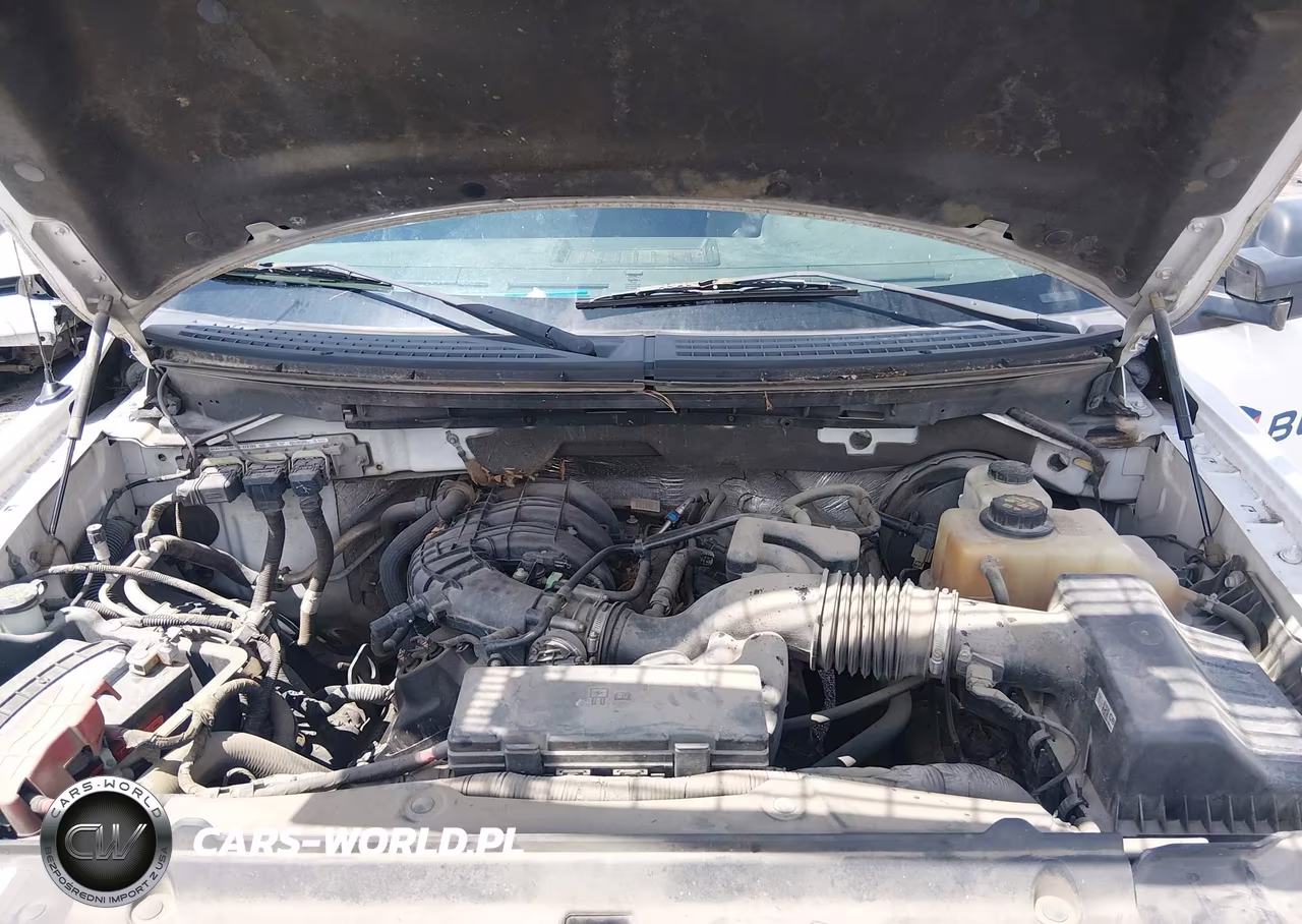 2013 Ford F-150 Xl VIN:1FTMF1CM3DKE35528 - 10