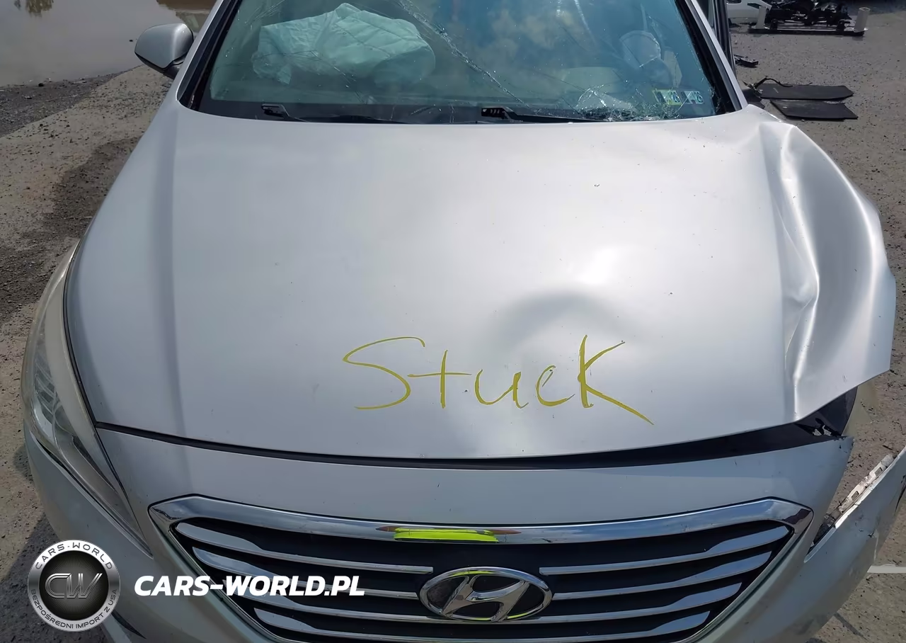 2016 Hyundai Sonata Se VIN:5NPE24AF7GH320357 - 10