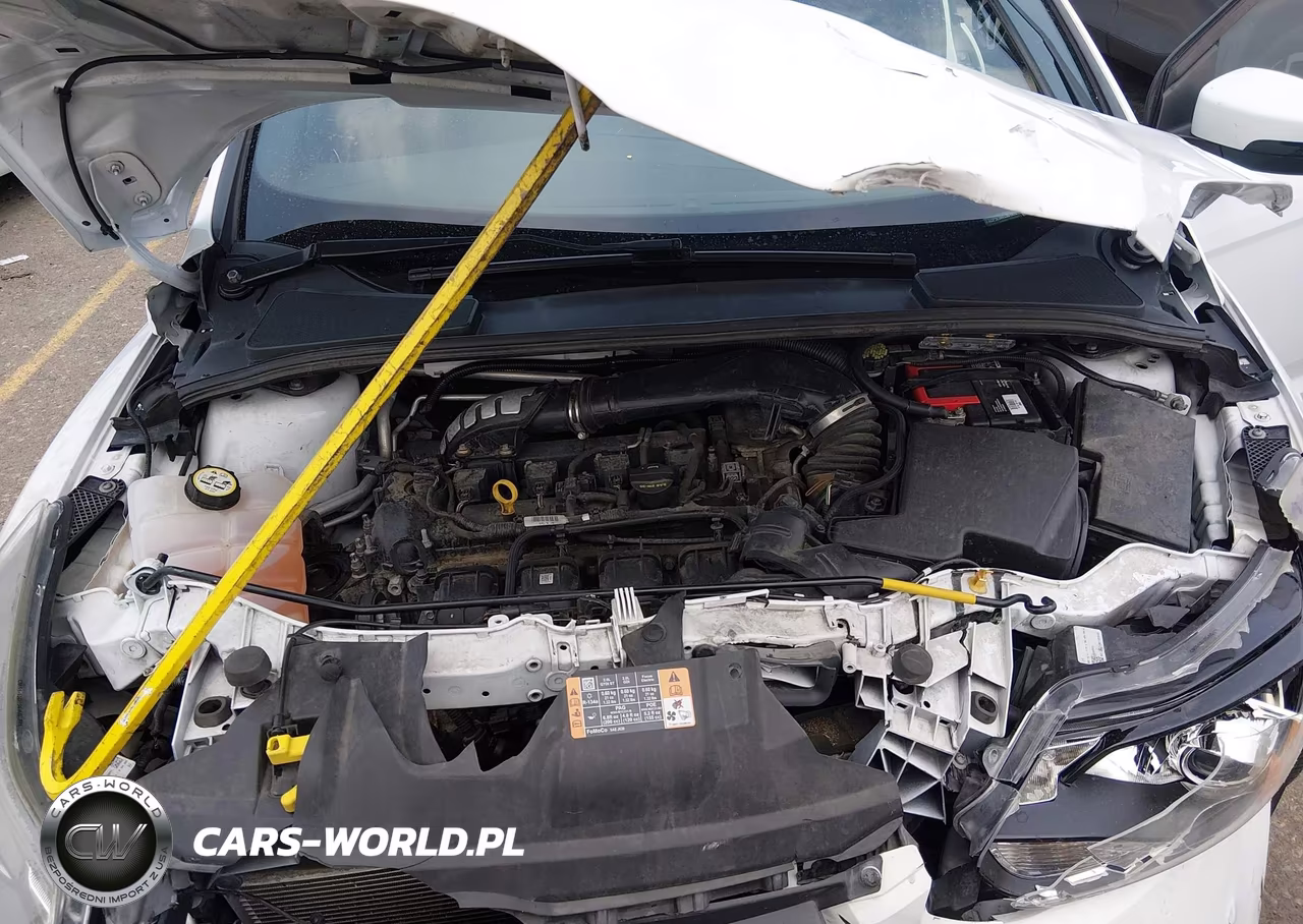 2014 Ford Focus St VIN:1FADP3L98EL381472 - 10