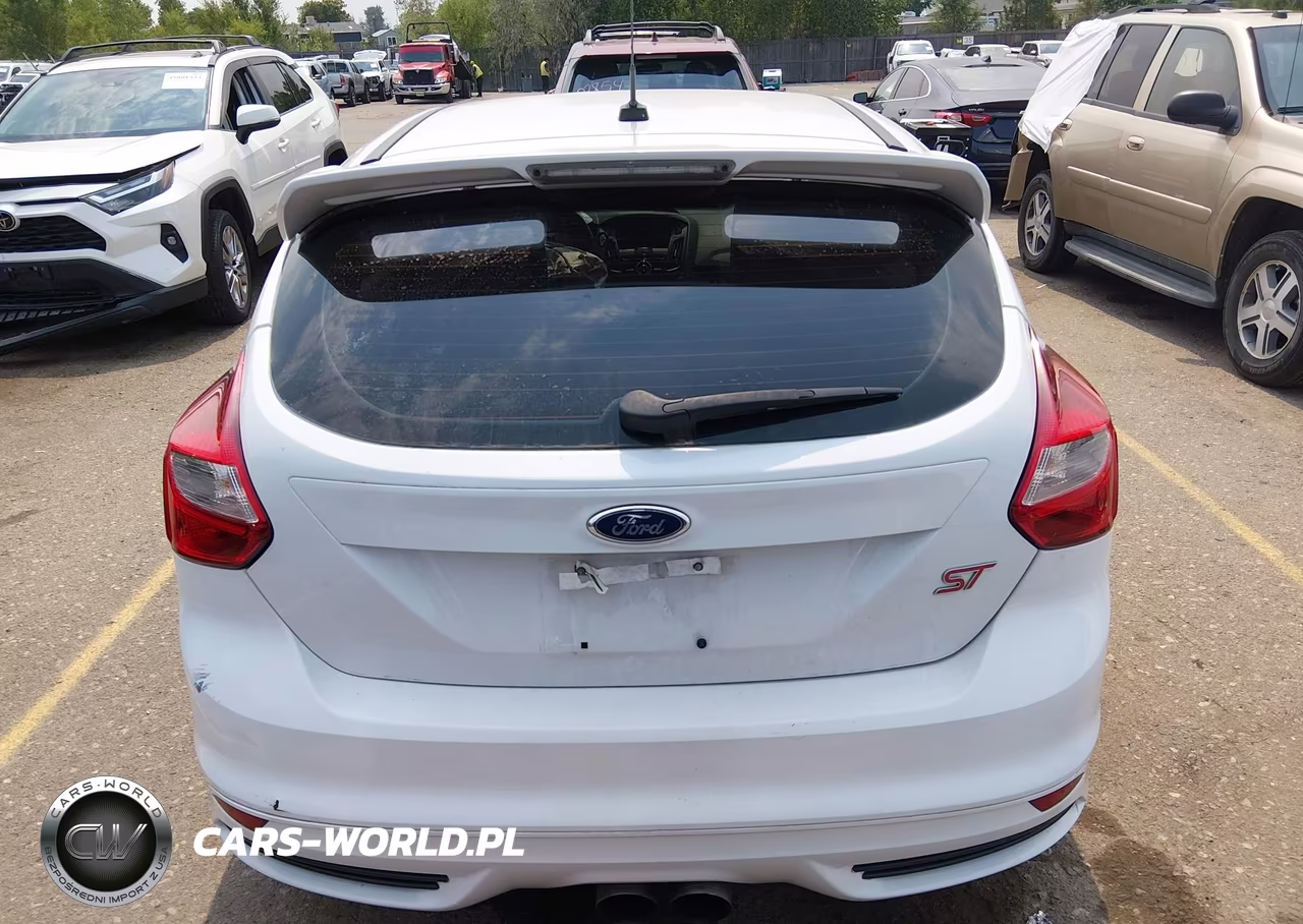 2014 Ford Focus St VIN:1FADP3L98EL381472 - 17