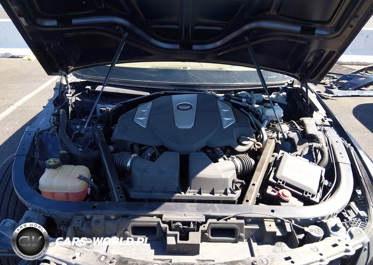 2017 Cadillac Ct6 Platinum VIN:1G6KN5R65HU186365 - 10