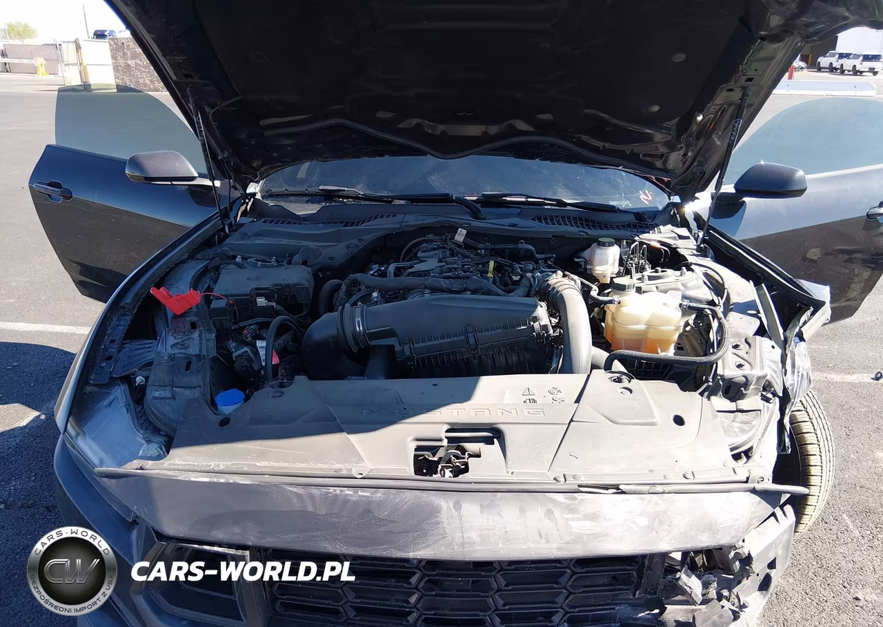 2024 Ford Mustang Ecoboost Fastback VIN:1FA6P8TH8R5119586 - 10