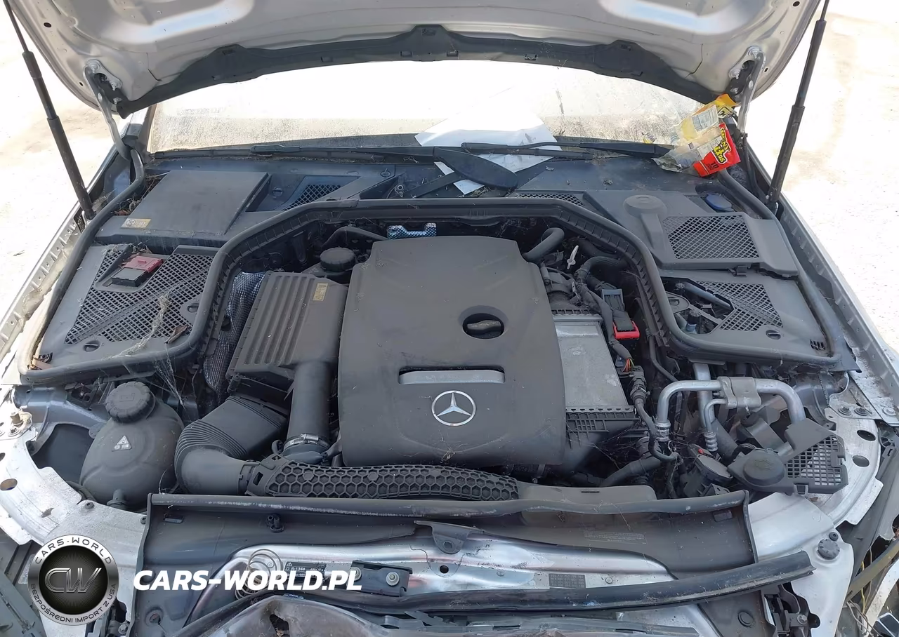 2015 Mercedes-Benz C 300 4Matic VIN:55SWF4KB9FU007665 - 10