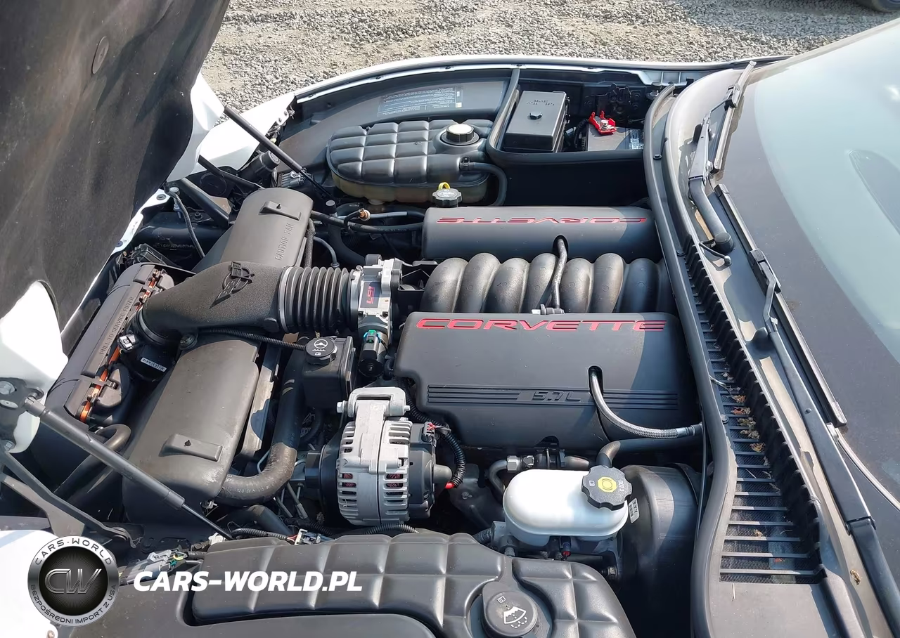 2004 Chevrolet Corvette VIN:1G1YY32GX45107744 - 10