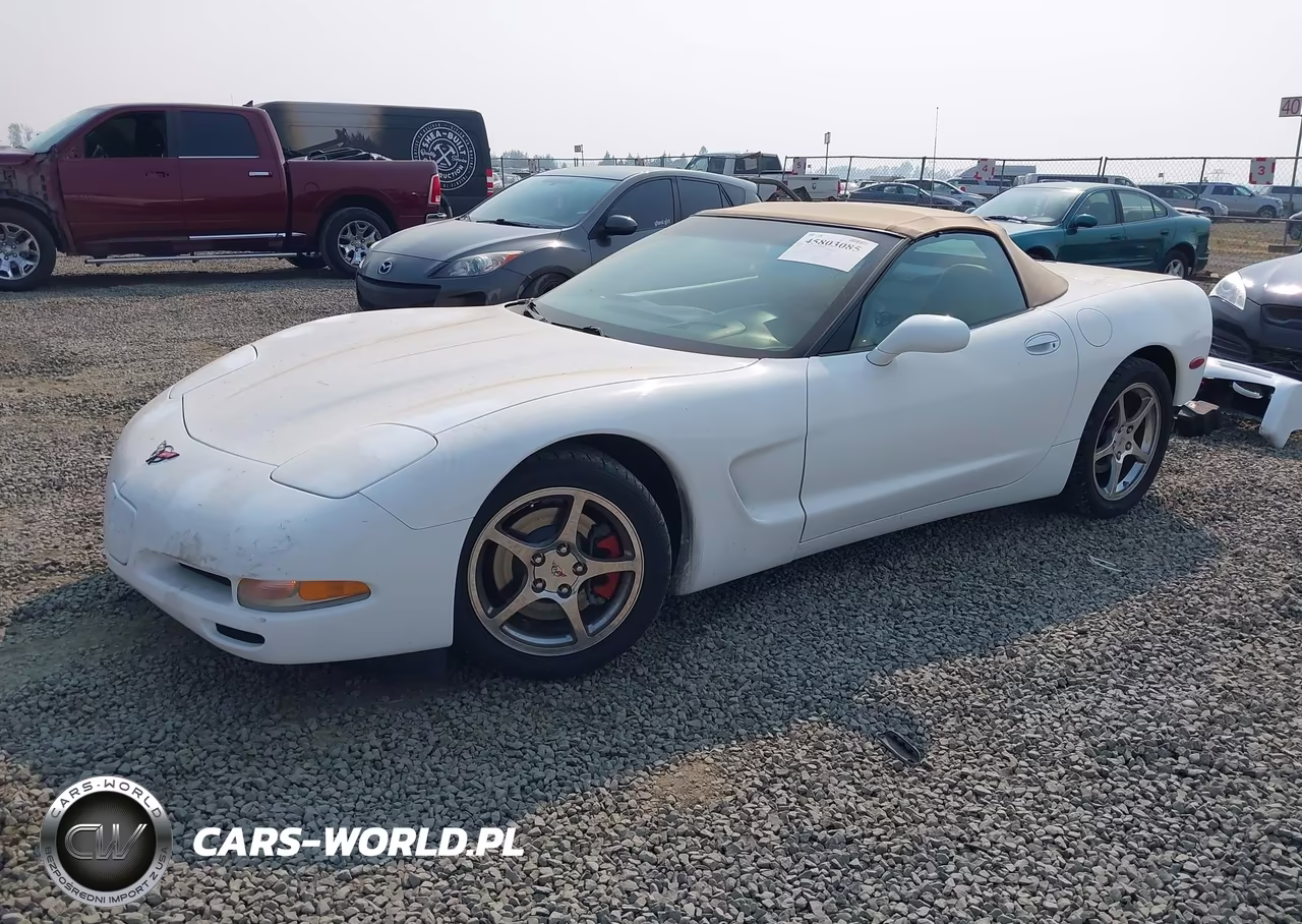 2004 Chevrolet Corvette VIN:1G1YY32GX45107744 - 2