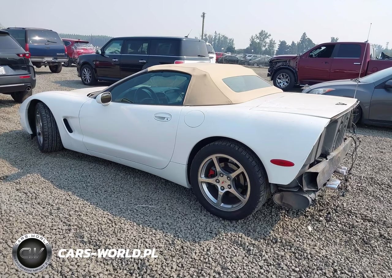 2004 Chevrolet Corvette VIN:1G1YY32GX45107744 - 3