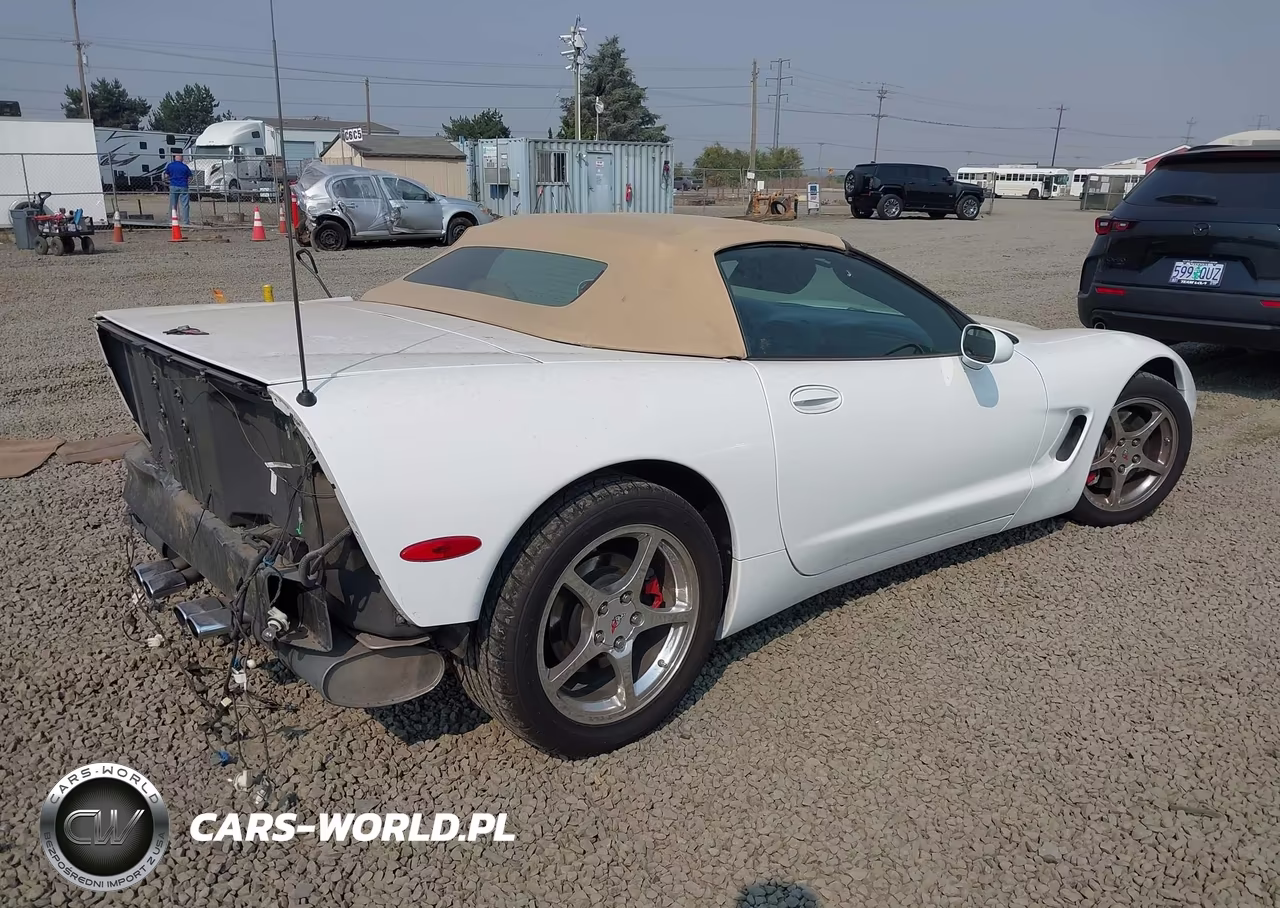 2004 Chevrolet Corvette VIN:1G1YY32GX45107744 - 4