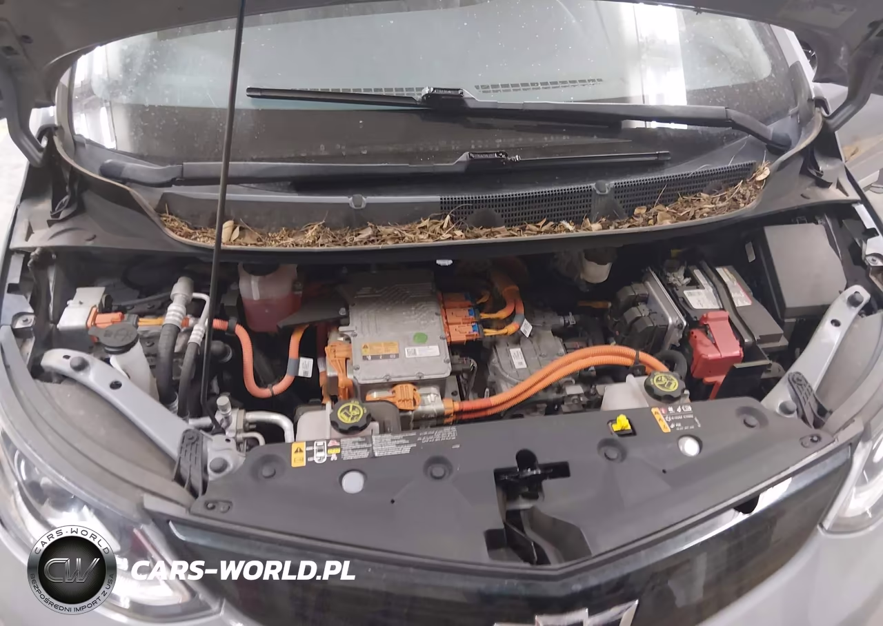 2019 Chevrolet Bolt Ev Premier VIN:1G1FZ6S00K4126296 - 10