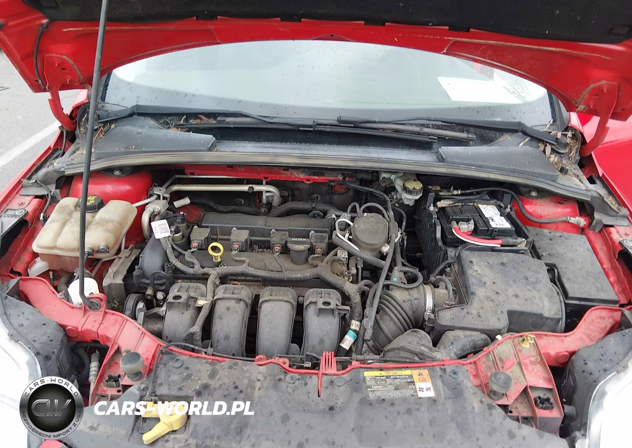 2014 Ford Focus Se VIN:1FADP3F23EL255860 - 10