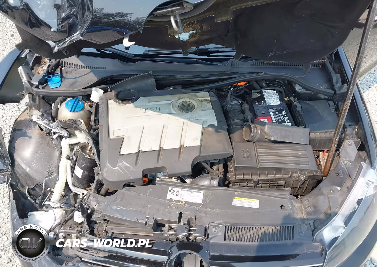 2013 Volkswagen Jetta Sportwagen 2.0L Tdi VIN:3VWPL7AJ4DM696254 - 10