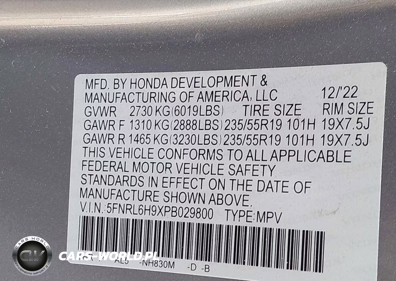 2023 Honda Odyssey Elite VIN:5FNRL6H9XPB029800 - 9