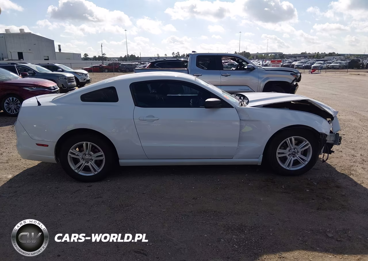 2014 Ford Mustang V6 VIN:1ZVBP8AM4E5224142 - 14