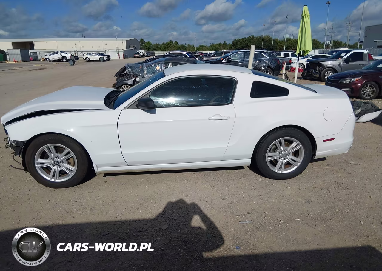 2014 Ford Mustang V6 VIN:1ZVBP8AM4E5224142 - 15