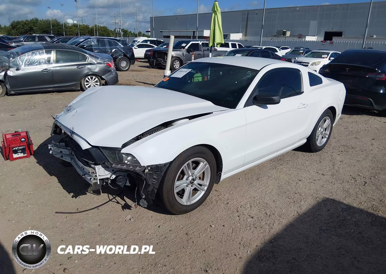 2014 Ford Mustang V6 VIN:1ZVBP8AM4E5224142 - 2