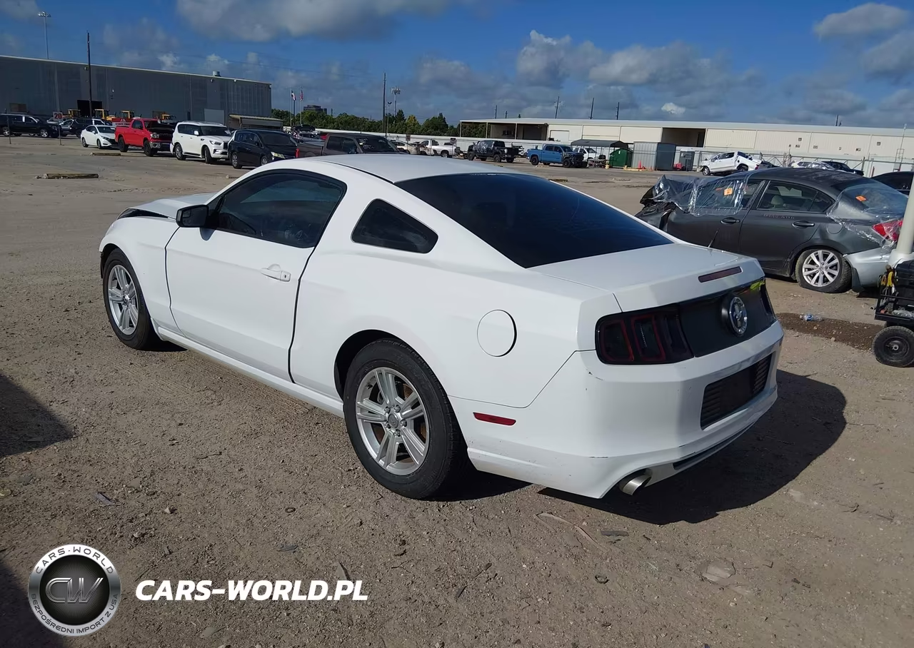 2014 Ford Mustang V6 VIN:1ZVBP8AM4E5224142 - 3