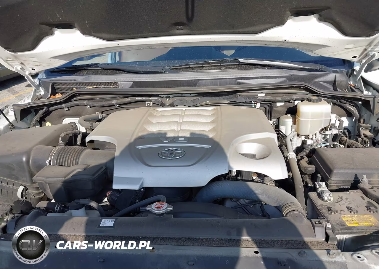 2019 Toyota Land Cruiser V8 VIN:JTMCY7AJ5K4076959 - 10