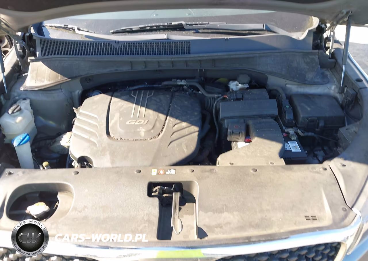 2017 Kia Sorento 3.3L Lx VIN:5XYPG4A57HG218373 - 10