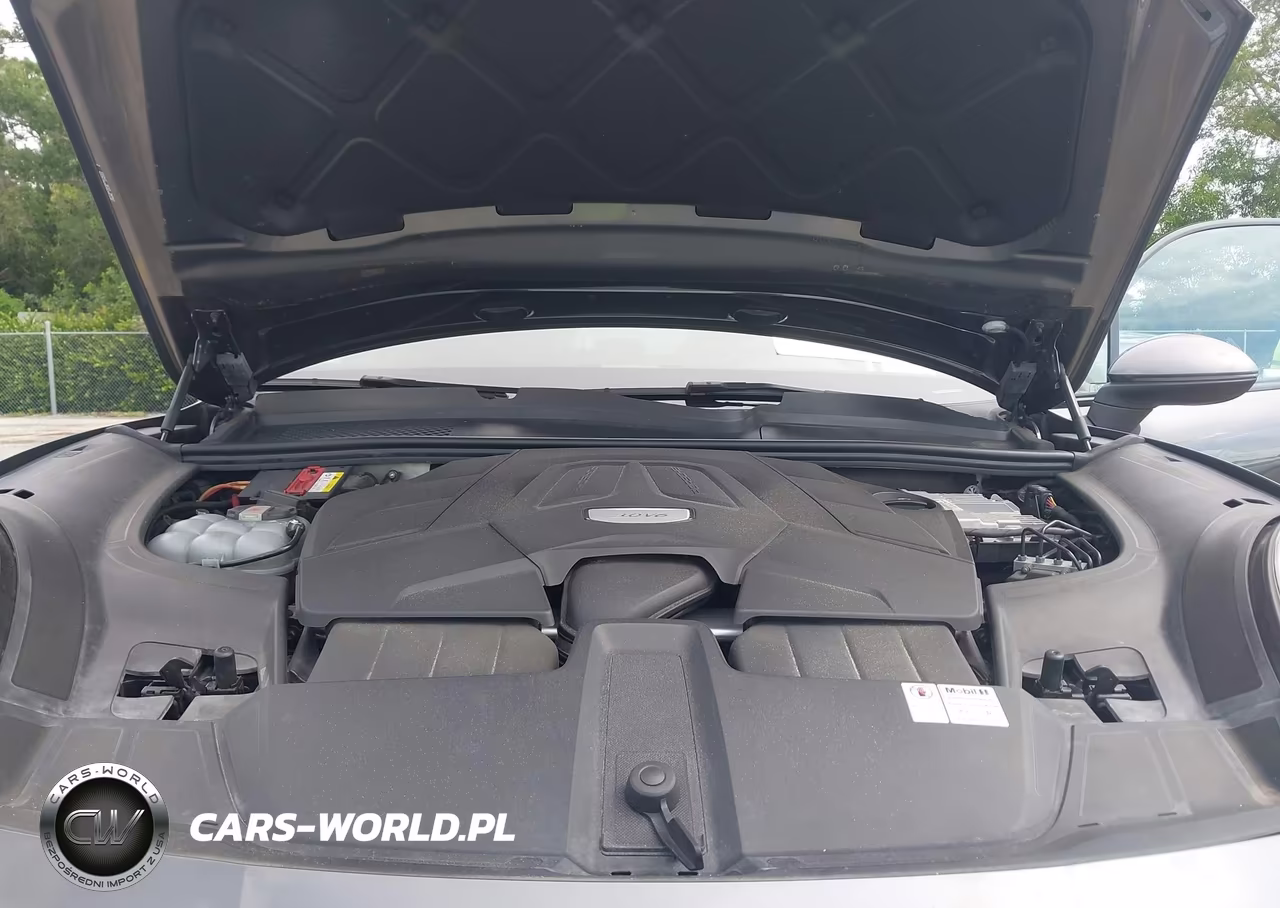 2019 Porsche Cayenne VIN:WP1AA2AYXKDA14225 - 10