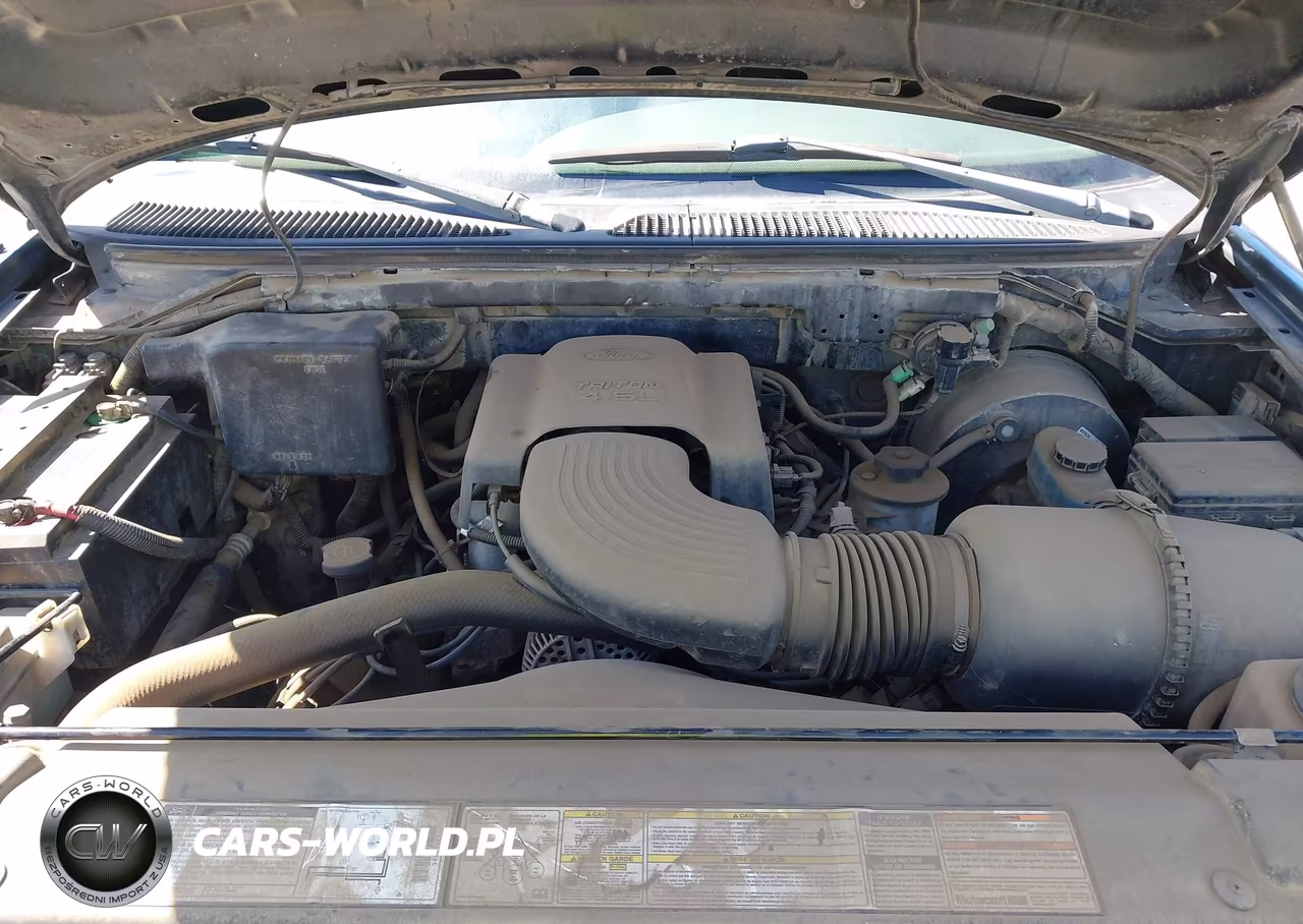 1998 Ford Expedition Eddie Bauer-Xlt VIN:1FMRU18W2WLC15070 - 10