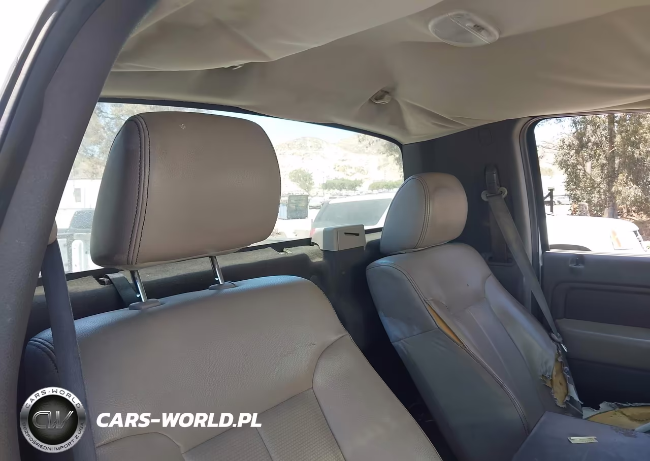 2010 Ford F-150 Stx-Xl-Xl W-Mid-Box Prep-Xlt-Xlt W-Mid-Box Prep VIN:1FTMF1CW1AKB11099 - 8