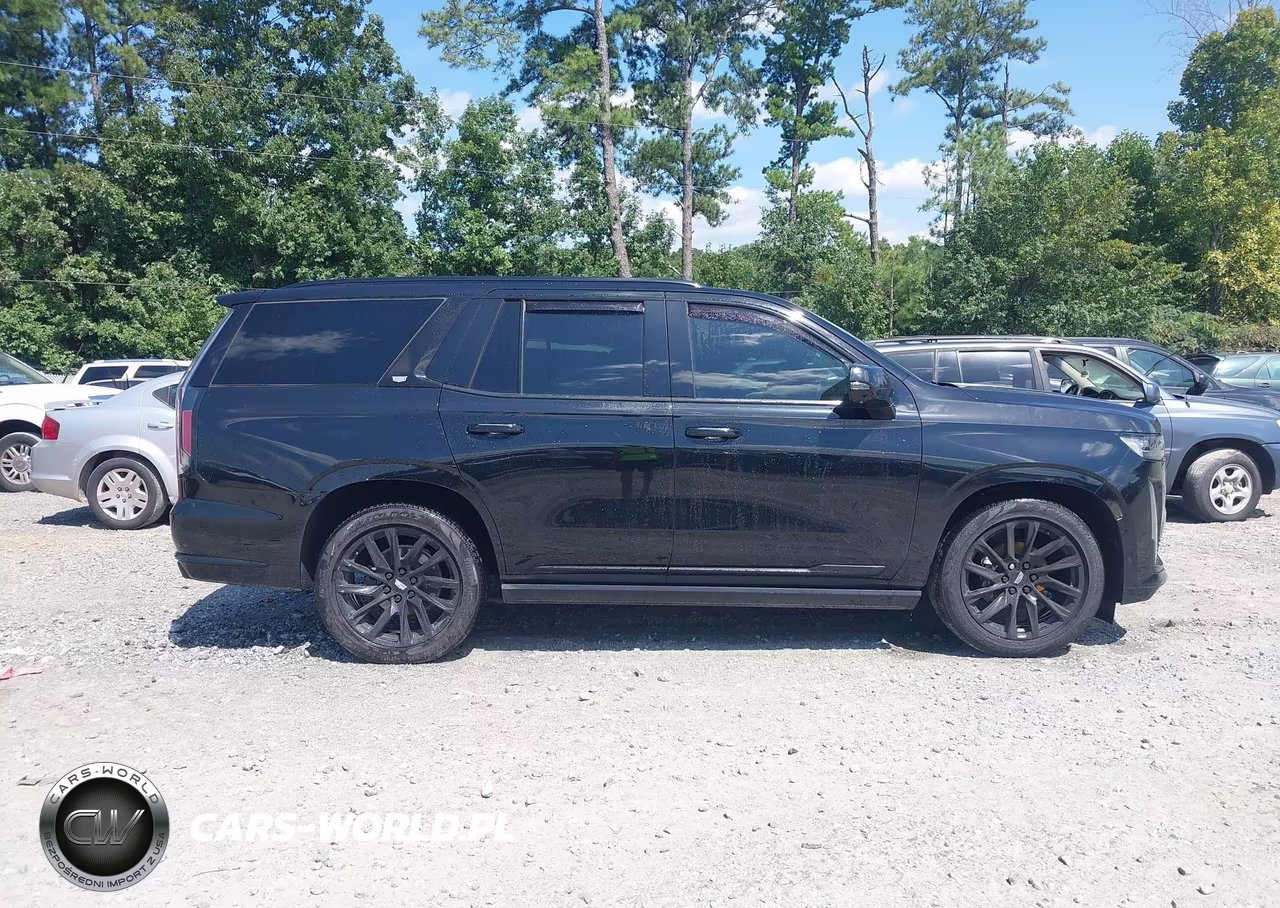 2021 Cadillac Escalade 4Wd Sport Platinum VIN:1GYS4GKL3MR378001 - 13