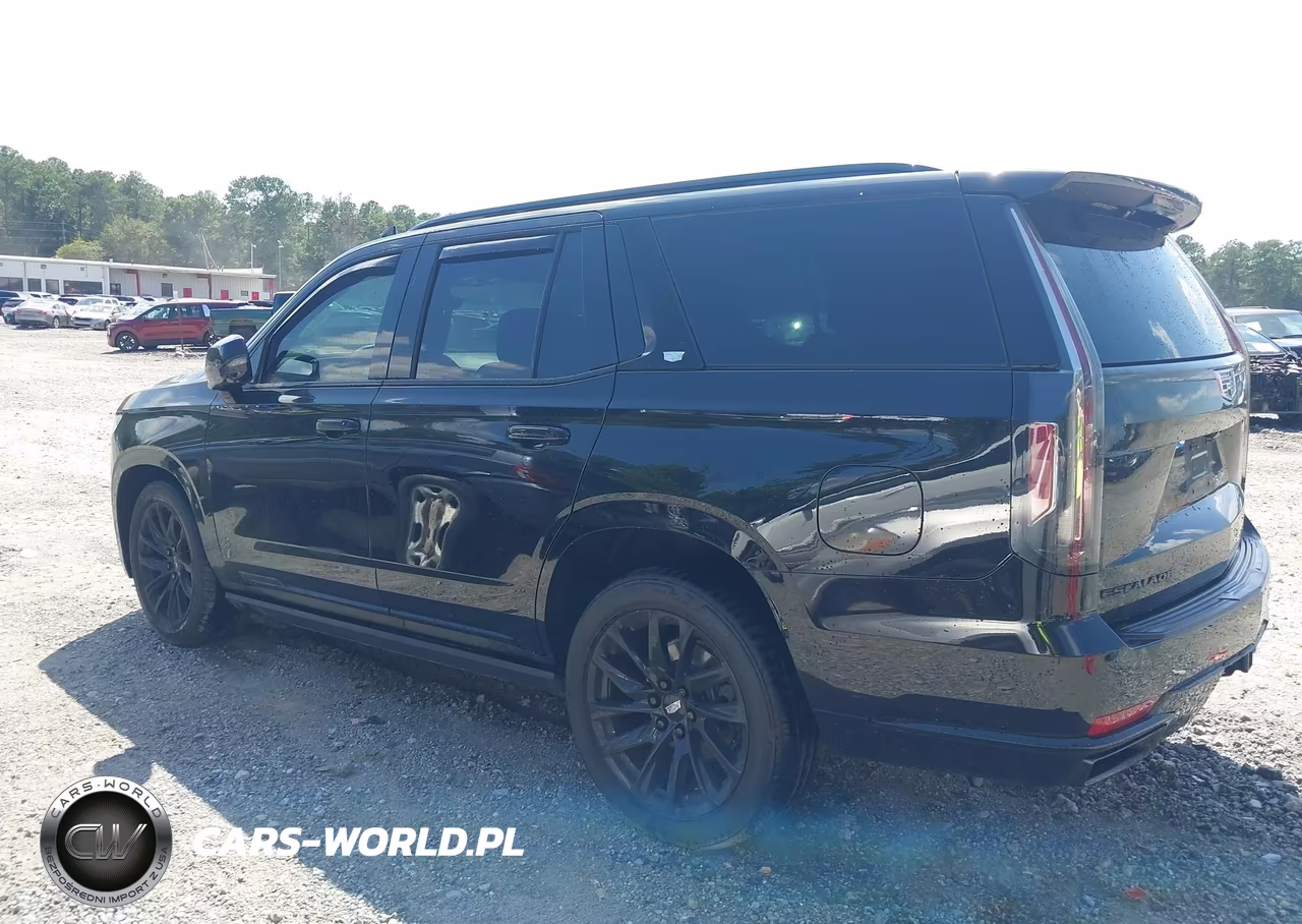 2021 Cadillac Escalade 4Wd Sport Platinum VIN:1GYS4GKL3MR378001 - 14