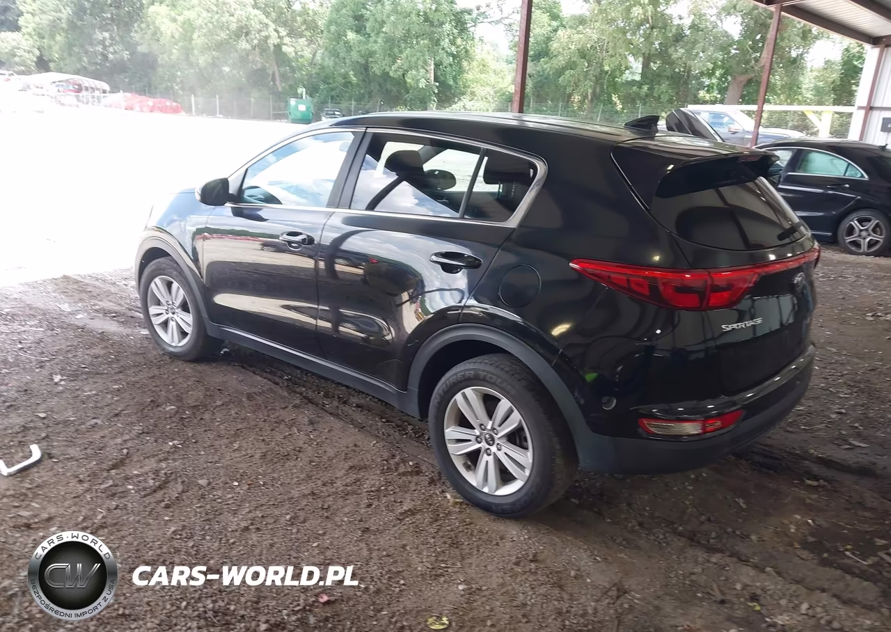 2018 Kia Sportage Lx VIN:KNDPMCAC7J7331163 - 3