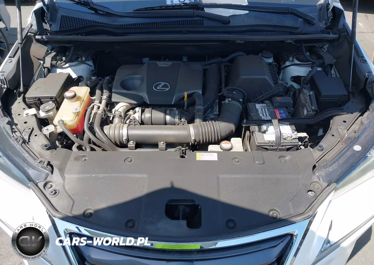 2016 Lexus Nx 200T VIN:JTJYARBZ1G2029762 - 10