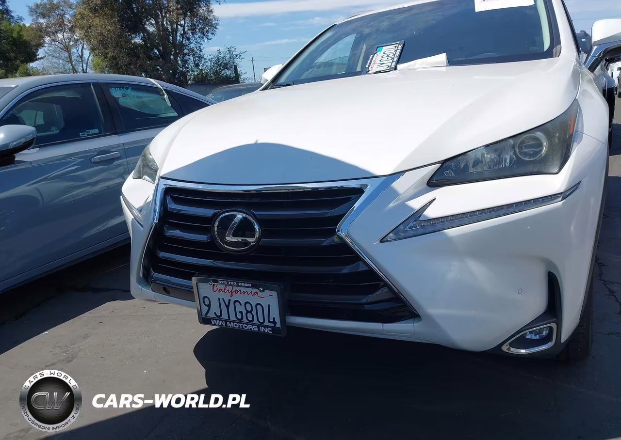 2016 Lexus Nx 200T VIN:JTJYARBZ1G2029762 - 13