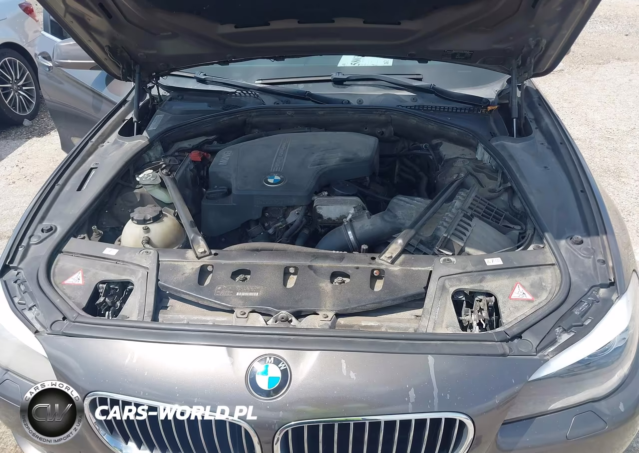2013 BMW 528I xDrive VIN:WBAXH5C51DD111499 - 10