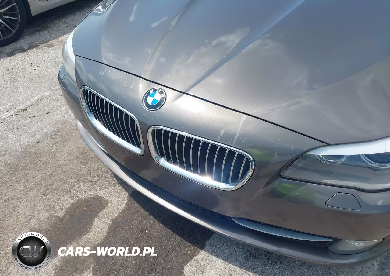 2013 BMW 528I xDrive VIN:WBAXH5C51DD111499 - 6
