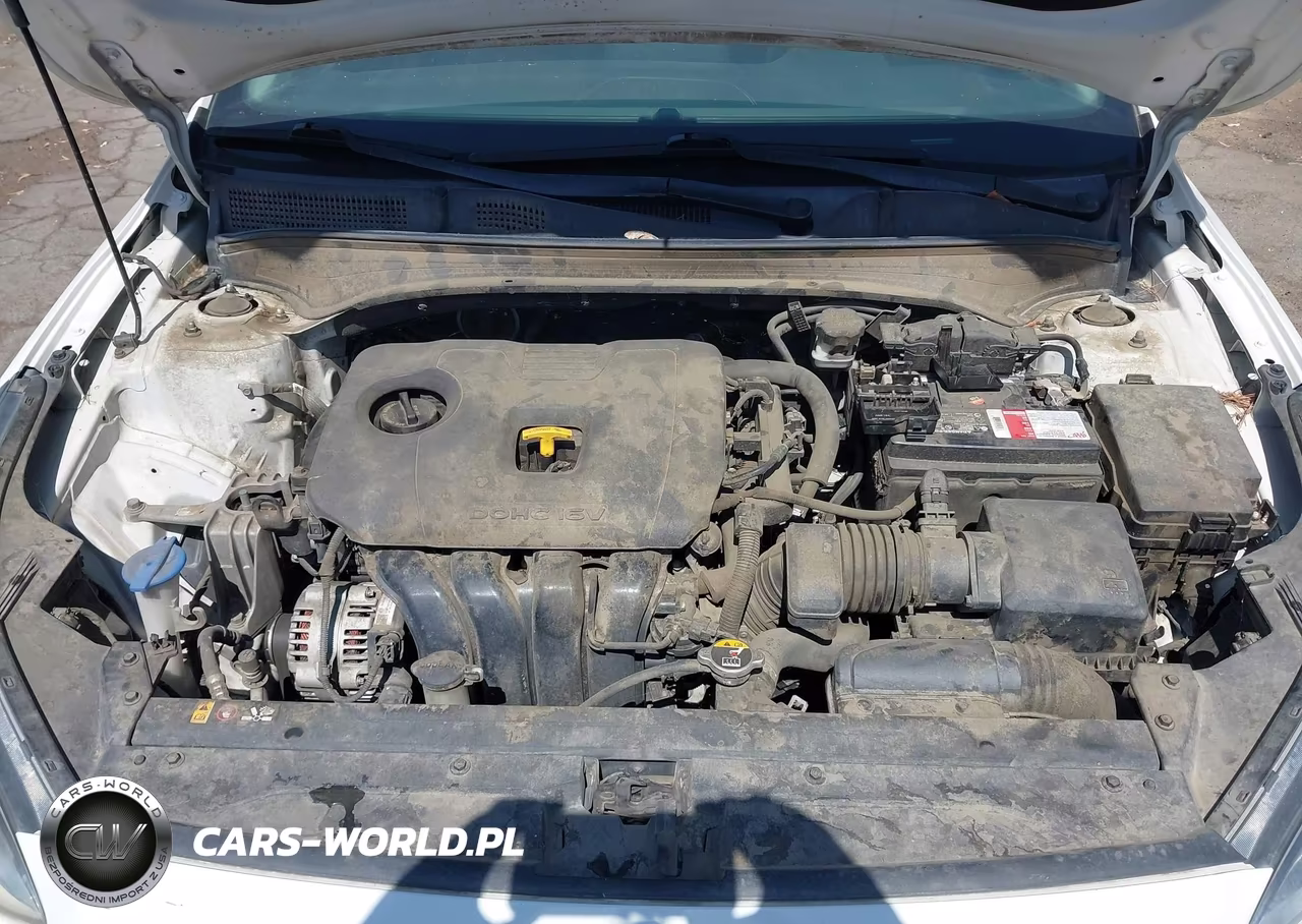 2019 Kia Forte Lxs VIN:3KPF24AD7KE010841 - 10