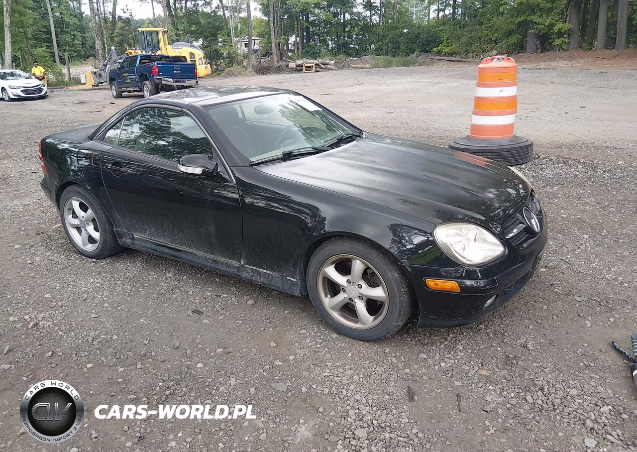 2004 Mercedes-Benz Slk 320