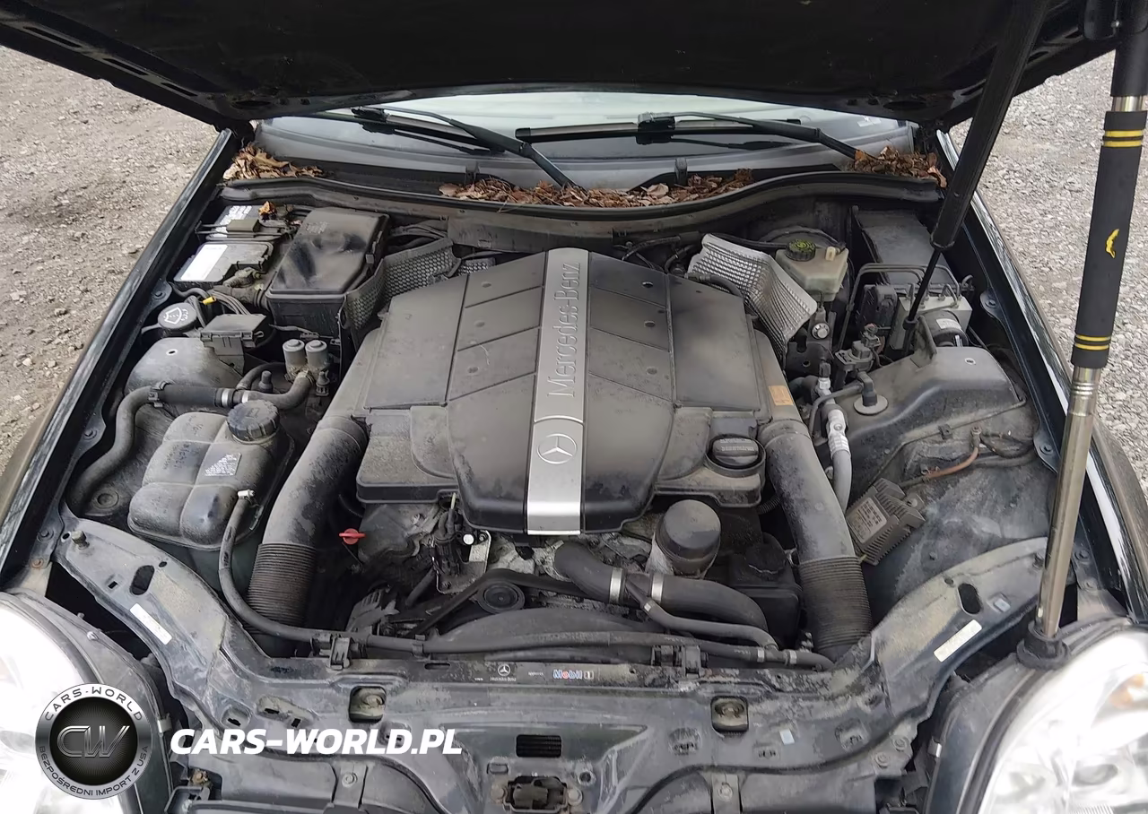 2004 Mercedes-Benz Slk 320 VIN:WDBKK65F04F303333 - 10