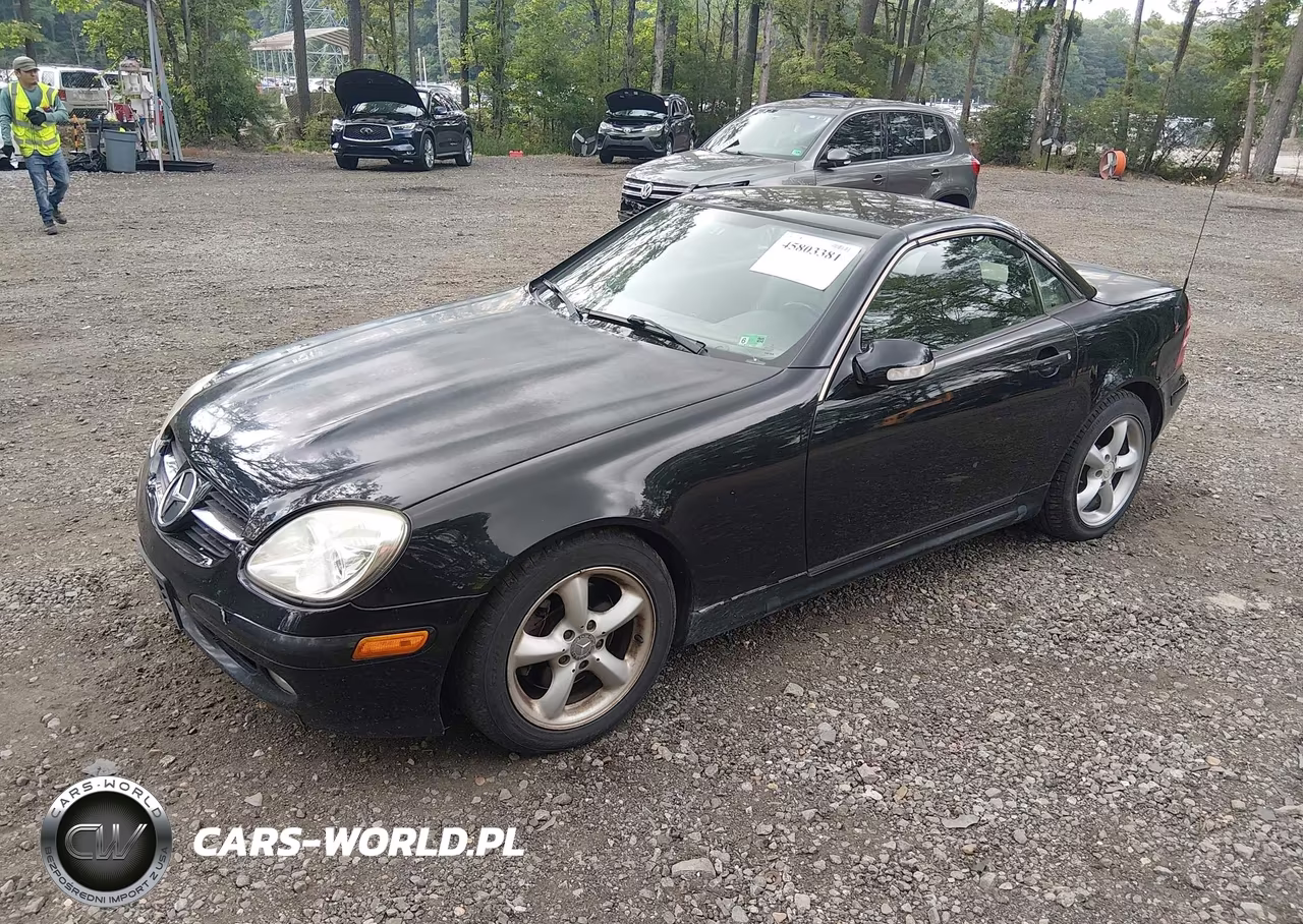 2004 Mercedes-Benz Slk 320 VIN:WDBKK65F04F303333 - 2